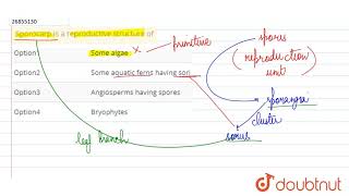 Sporocarp is a reproductive structure of [upl. by Eberhart]