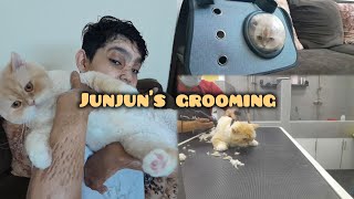 finally 2 months k baad junjun  grooming krwa li 🐈 😻 [upl. by Pangaro]