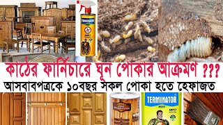 আসবাবপত্রে ঘুন ও উঁইপোকা স্থায়ীভাবে দূর করার সহজ পদ্ধতি  Termite treatment by Wood preservative [upl. by Elleahcim29]