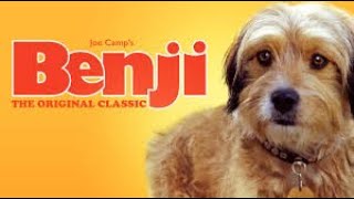 Free Full Movie Benji 1974 fullfreemovie [upl. by Goodrich387]