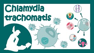 Chlamydia trachomatis  Chlamydial infection  Sexually transmitted disease  Treatment of Chlamydia [upl. by Him914]