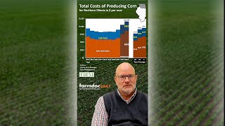 Costs of Producing Corn in 2023 shorts [upl. by Groves]