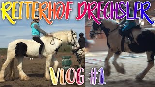 Reiterhof Drechsler Vlog 2018  Teil 1  KindOfJessi [upl. by Riva]