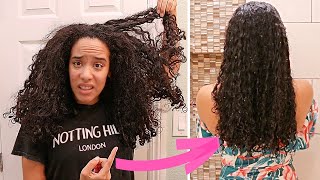 HOW I DETANGLE EXTREMELY MATTED DRY TANGLED HAIR  FOR NATURALLY CURLY HAIR 2020 [upl. by Ahlgren431]