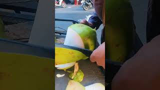 Slice coconut with super sharp knife shorts streetfood viral coconut asmr [upl. by Asseram]