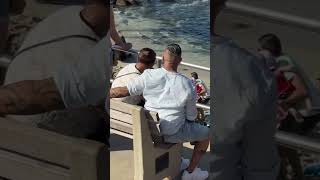 Angry sea lion charges at beachgoers on popular California beach ‘Get out of the water’ shorts [upl. by Htrap]