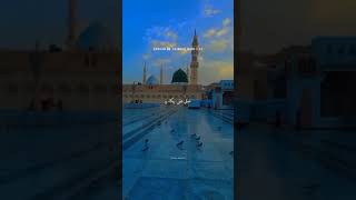 Sale Alla Pukaro Sarkar aa rahe hain Best Naat video Short Video Clip Subscribe For more ❤️🥀🕋🕋 [upl. by Nnaytsirk]