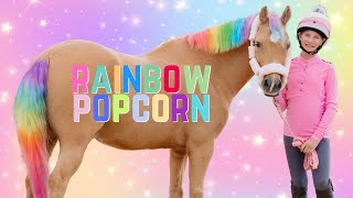 WE TURNED POPCORN RAINBOW BARBIE UNICORN PONY [upl. by Oilut]