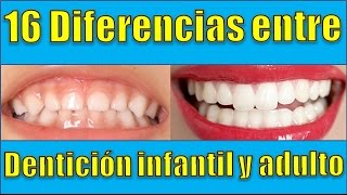 16 Diferencias entre la dentición infantil y de adulto [upl. by Daht]