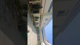 Clg days  college life  clg memories  mastizone ytshorts shortsviral viralvideos clgdiaries [upl. by Lana292]