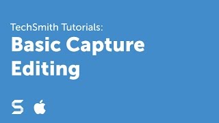 Snagit 4 Basic Capture Editing [upl. by Wichern180]