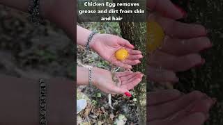 Forest Hygiene Skills Chicken Egg Soap🥚🧼 [upl. by Regdirb]