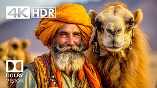 Meditate HDR 4K 60 FPS  Dolby Vision 4K Video [upl. by Nyleda]