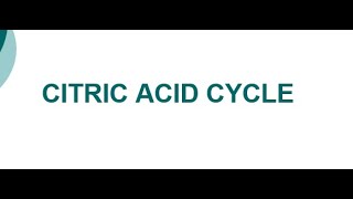 Citric Acid Cycle I Krebs cycle I C3 Cycle I Tricarboxylic Acid Cycle I TCA Cycle [upl. by Yancey]