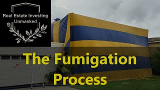 How Does Fumigation Work The Whole Process As I Saw It [upl. by Emmerich]