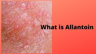 What is Allantoin [upl. by Eronaele]