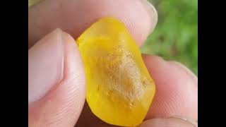 Ceylon Natural Huge Rough Yellow Sapphire fresh from the mine  Sri Lanka [upl. by Secrest842]