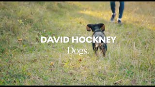 Dogs David Hockney [upl. by Lleznov]