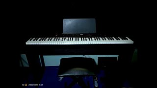 Artesia PE88 88 Key Deluxe Digital Piano unboxing and test play bajaao ArtesiaProNorthAmerica artesia [upl. by Lyckman]