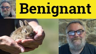 😎 Benignant Meaning  Benignant Definition  Benignant Examples  Describing People  Benignant [upl. by Jo Ann]