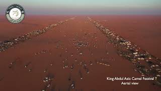 King Abdul Aziz camel festival Saudi Arabia  helicam view  camelspace [upl. by Lexie168]