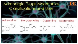 Sympathomimetics Pharmacology Part 1  Sympathomimetic Drug Classification and Uses [upl. by Yuria762]