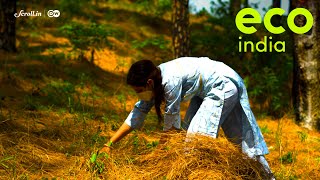 Eco India To fight forest fires in Himachal Pradesh locals use flammable pine needles to make fuel [upl. by Sinne]