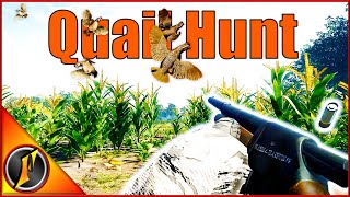 Hunting Bobwhite Quail with the 16 GA Shotgun [upl. by Arat594]