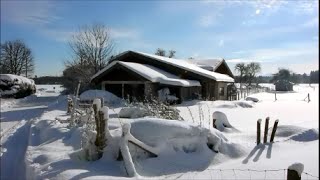 Dieses Jahr Weihnachten leider ohne Schnee  so sah es im Februar 2015 bei uns aus [upl. by Eirod]