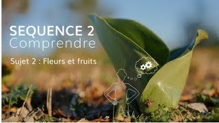 Séquence 2 sujet 2  Fleurs et fruits [upl. by Gilletta]