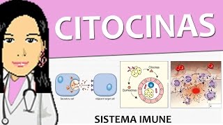 Imunologia 03  Citocinas Imunidade inata  Vídeo aula de sistema imune [upl. by Bluefarb]