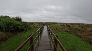 Walking from Quinault Beach Casino Resort to the beachOcean Shores Washington 4k [upl. by Nuriel]