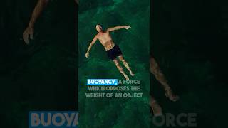 The Buoyancy Factor [upl. by Engedi]