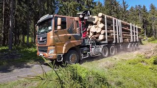 Terénní Tatra Phoenix nakládá dlouhé klády na návěs Doll [upl. by Rudie]