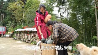 婷婷和老爸一起把门口的草打理出来，有惊喜哦！小兔子也出生啦！ [upl. by Akkinahs]