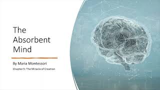 Understanding Montessori  Ch 5 of The Absorbent Mind The Miracle of Creation [upl. by Okomom]