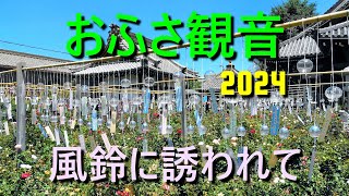 おふさ観音 2024 風鈴に誘われて [upl. by Nnainot]