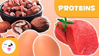 What are proteins  Healthy Eating for Kids [upl. by Ettennad]