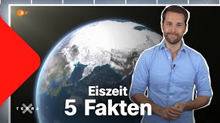 Eiszeit in Europa – 5 spannende Fakten  Terra X [upl. by Struve]