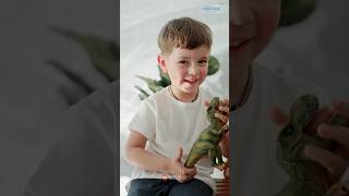 Happy Playing With Trex And Brontosaurus Dinosaurs 🦖🦕 dinosaurs trex brontosaurus dinotoys diy [upl. by Vallery]