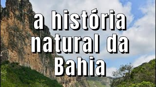 A HISTÓRIA NATURAL DA BAHIA [upl. by Iphlgenia368]