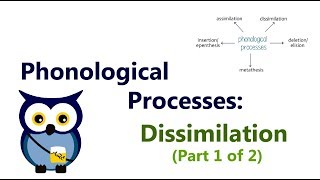 Phonological Processes Dissimilation Part 1 of 2 [upl. by Aicemaj717]