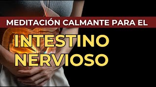 Meditación para calmar el INTESTINO NERVIOSO  Liberación de carga emocional y calma digestiva [upl. by Eissat]