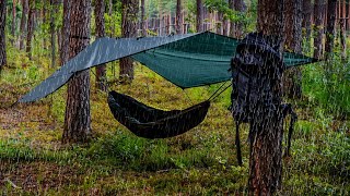 The Truth About Hammock Camping [upl. by Shaya]