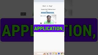 What is Bug in Software Testing [upl. by Jillayne]