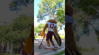 Do a Tailwhip  Goldie the Mascot  University of Minnesota [upl. by Carman]