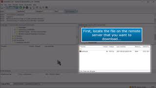 FTP How to Download Files Using FileZilla [upl. by Nnairda]