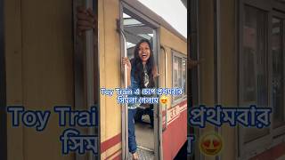 প্রথমবার Toh Train এ চেপে পাহাড় ভ্রমণ😍Shimla Manali Tour planChicken Biryani RecipeZee Bangla [upl. by Wynn849]