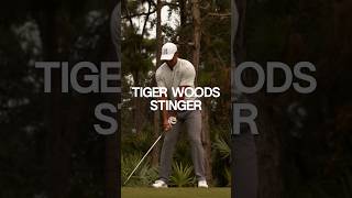 Tiger Woods Stinger Slow Mo [upl. by Oj256]