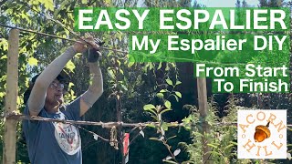 EASY ESPALIER TUTORIAL Espaliered Pear Trees Espaliered Fruit Trees DIY [upl. by Tonnie]